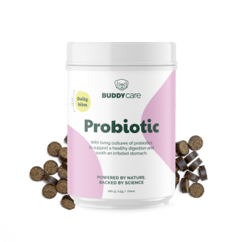Buddy Probiotic Chews