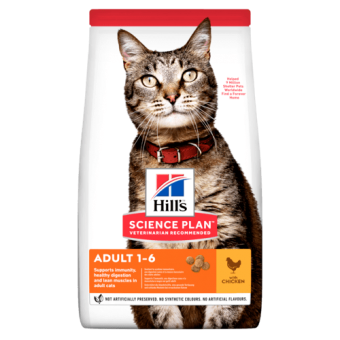 Hills SP  Feline Adult Chicken