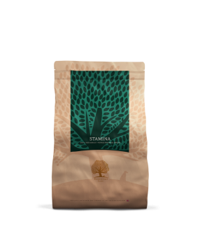 Essential Stamina Small Size 3kg
