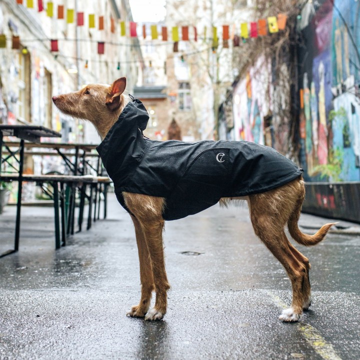 Hund & Katt - Utvalda produkterCloud7 Regnjacka Dublin Slate - Stilrena produkter - Ellios & Katt